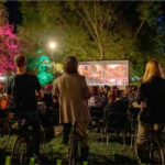 Kino im BELLA PARK